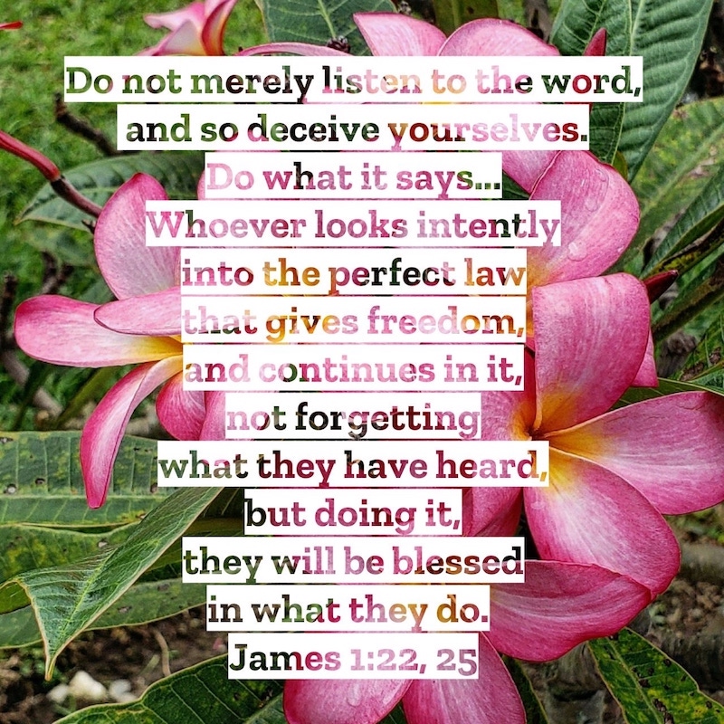 James 1:22,25